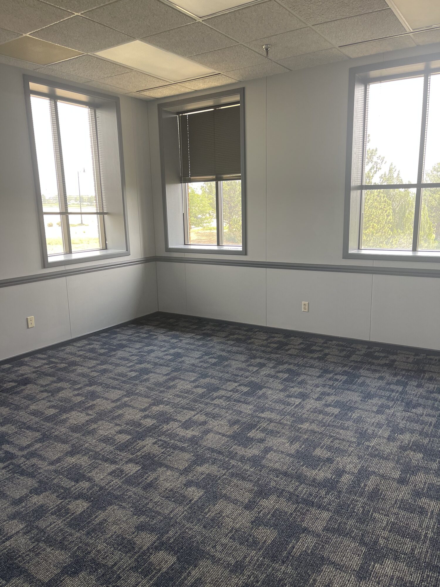 Suite 201 office area